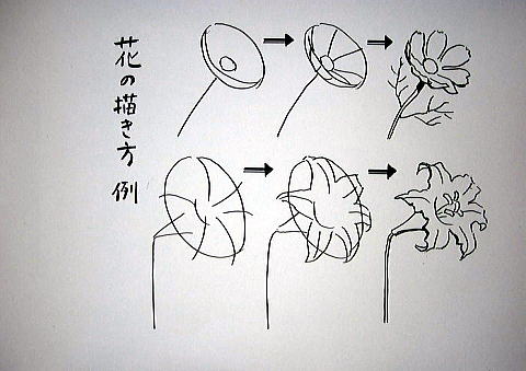 すべての美しい花の画像 50 デッサン 花 おすすめ