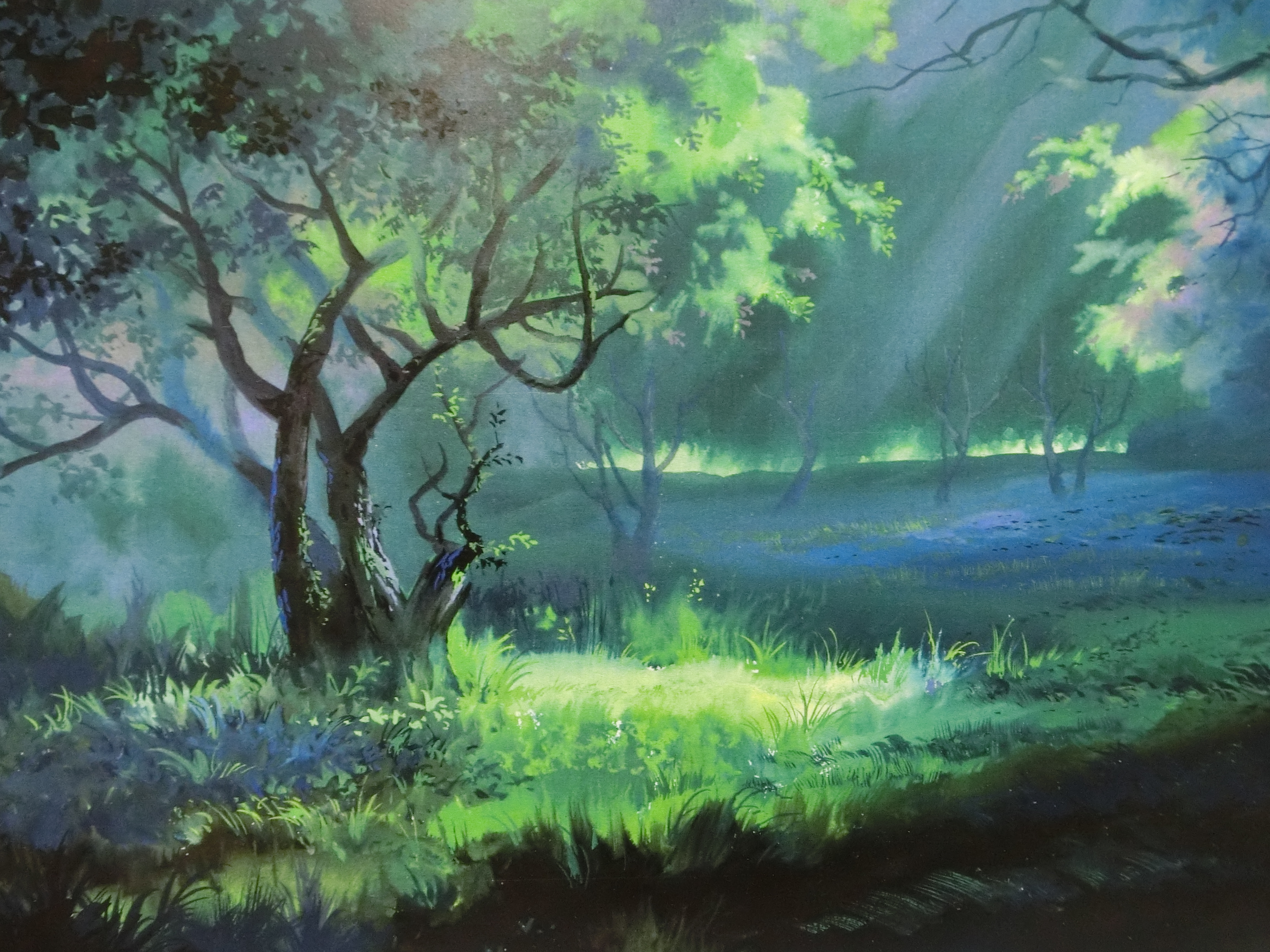 講師鶴岡の作品